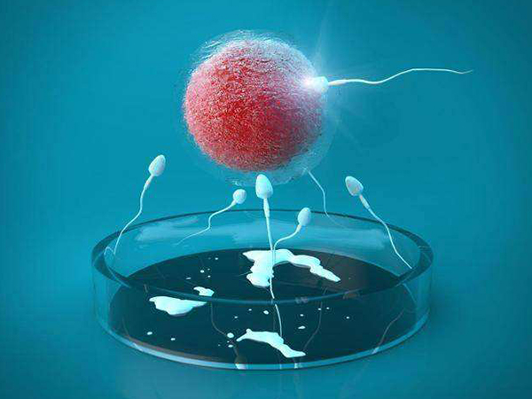 取卵后正常的患者才能进行鲜胚移植