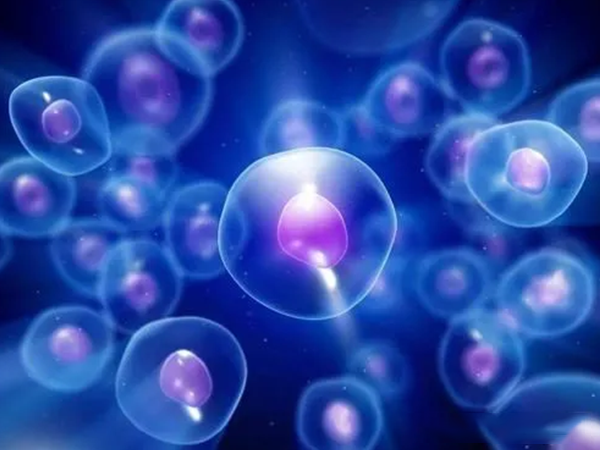 胚胎三倍体会出现自然流产