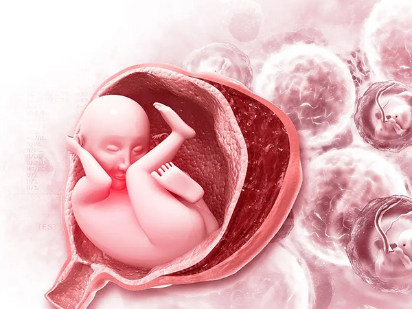 造成胚胎三倍体的原因有很多