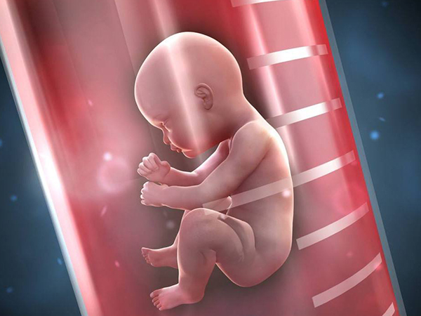 做试管会挑选优质胚胎进行移植