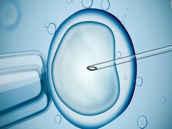 辅助生殖技术能够帮助不孕不育家庭实现生育