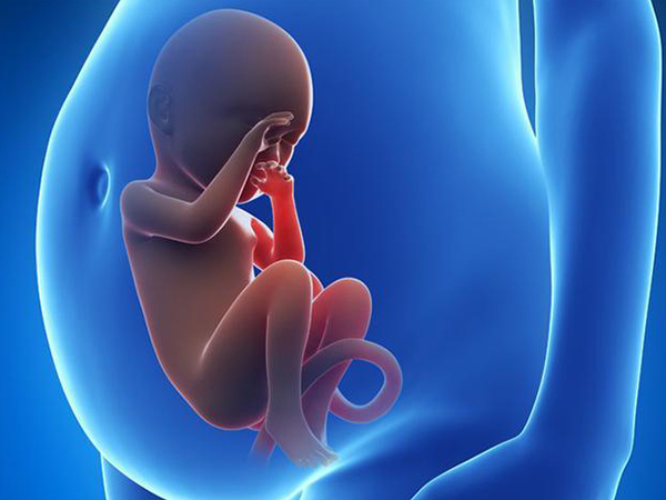 胎儿在腹中连续踢不一定是缺氧
