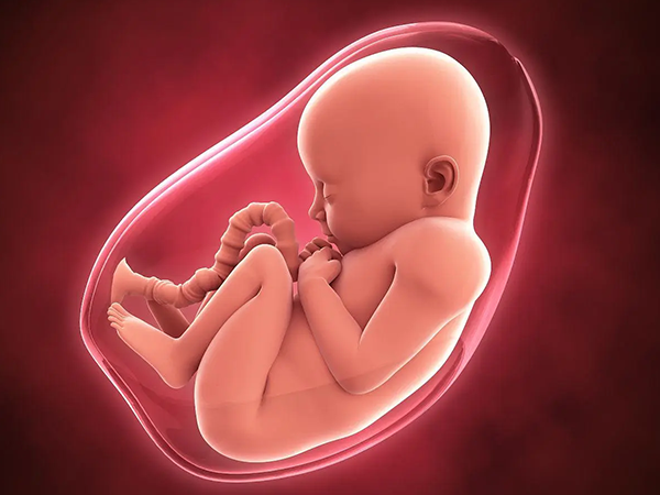 先兆流产表现为妊娠早期出血
