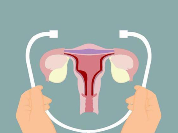 女性amh越低说明卵巢功能越差