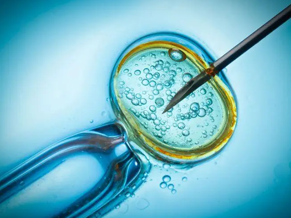 微刺激方案并非都不能移植鲜胚