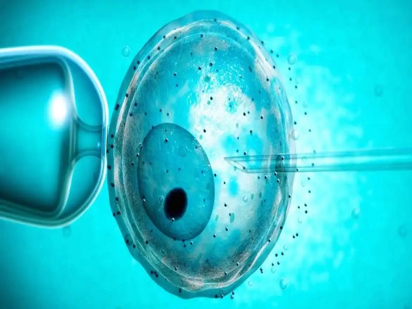 试管婴儿是最先进的辅助生殖技术