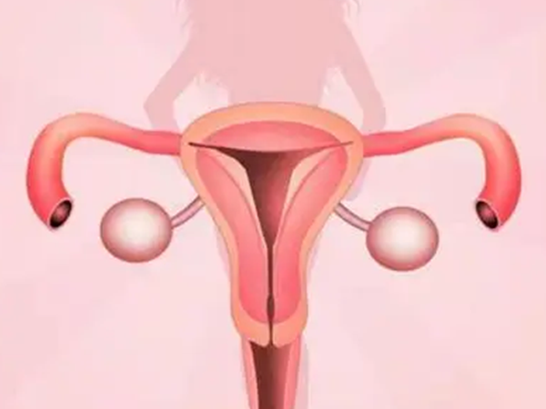 胚胎移植前子宫内膜的形状是不是都是C型的？