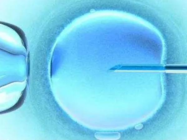 嵌合体胚胎移植成功率约20%