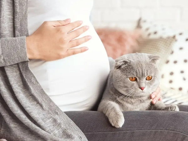 孕妇体温高会吸引猫咪近身