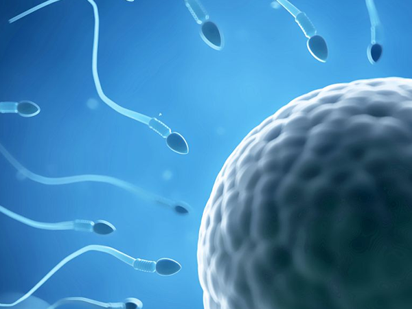 生化妊娠的主要原因是胚胎质量低
