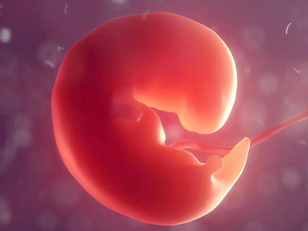 怀孕无胎心不一定是精子的问题