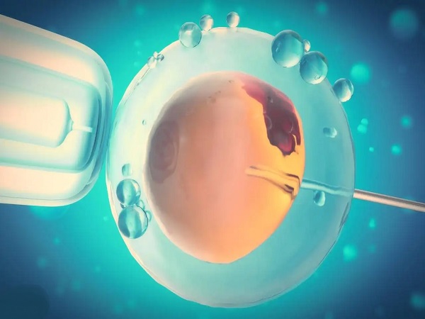 试管婴儿会移植1-2个胚胎