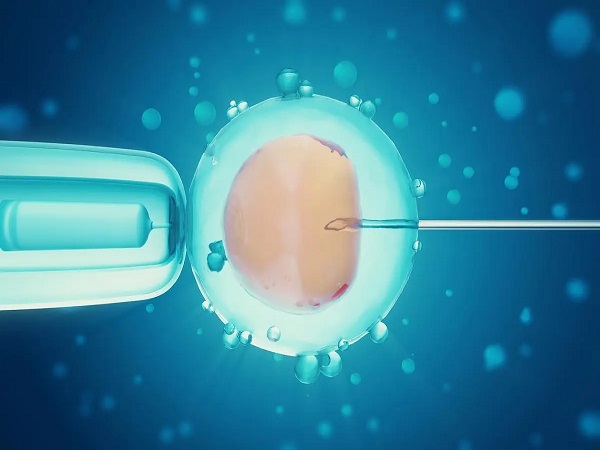 胚胎质量和试管成功率有关系