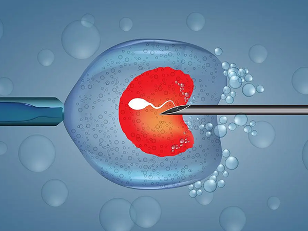囊胚移植第14天验孕结果较准