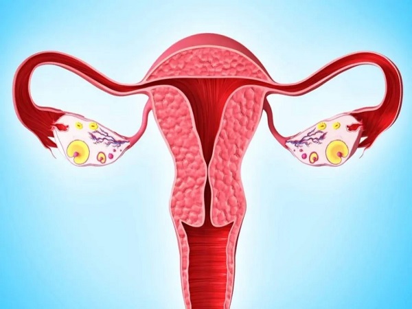 输卵管是否通畅对女性生育有影响