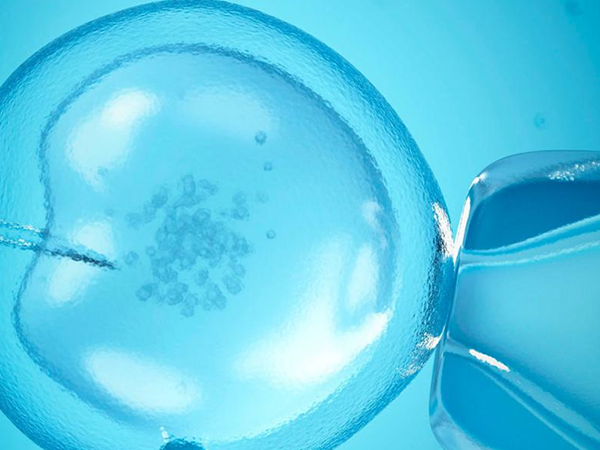 微刺激方案对卵巢功能影响小