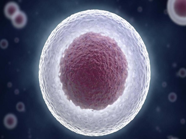 卵泡不破对女性怀孕有影响