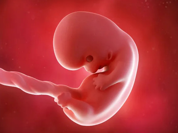 孕妇胎停身体会有反应