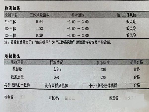 t18数值判断生男生女的方法