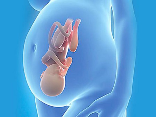 怀孕后女性身体会发生一系列变化