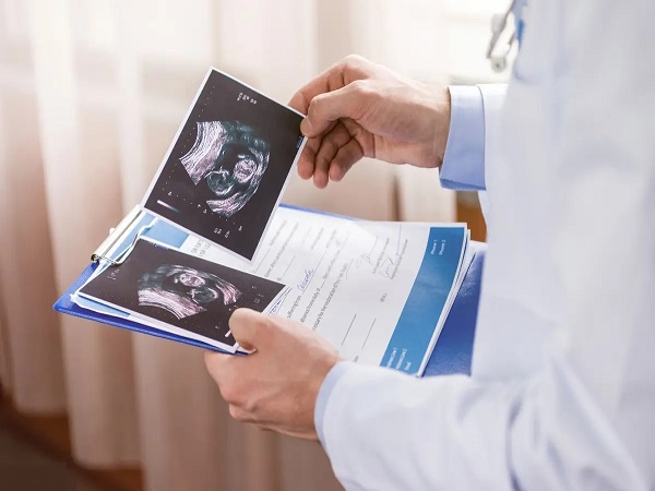 胎儿脊柱的位置可预测男女