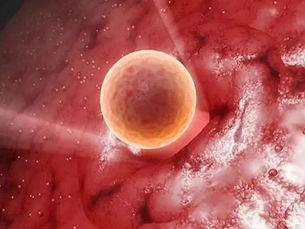 移植后胚胎着床女性身体会有感觉