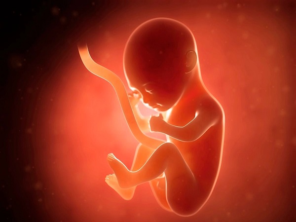 医生不建议孕妇使用托腹带的原因，会“勒着”胎儿真不假