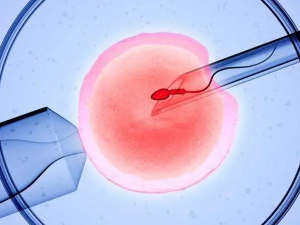 冻胚分裂成双胎的情况很罕见