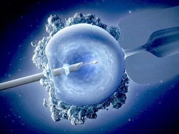 三代试管会筛选健康胚胎进行移植