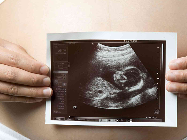 胎儿在孕42天时还没完全形成
