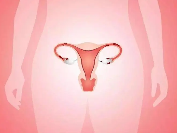 子宫内膜是试管能否成功的关键因素