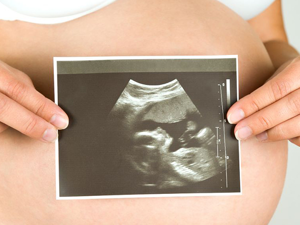 15周双腿中间有凸起的胎儿b超图