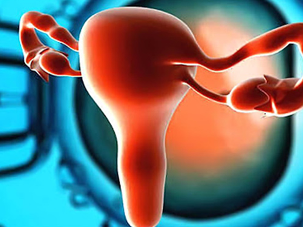 卵巢早衰自然周期取卵成功率低