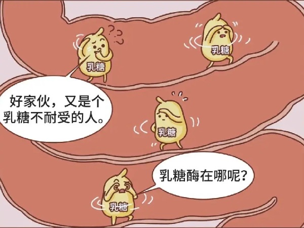 先天性乳糖不耐受的病因