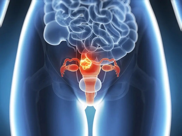 卵巢功能的好坏和女性的年龄有关