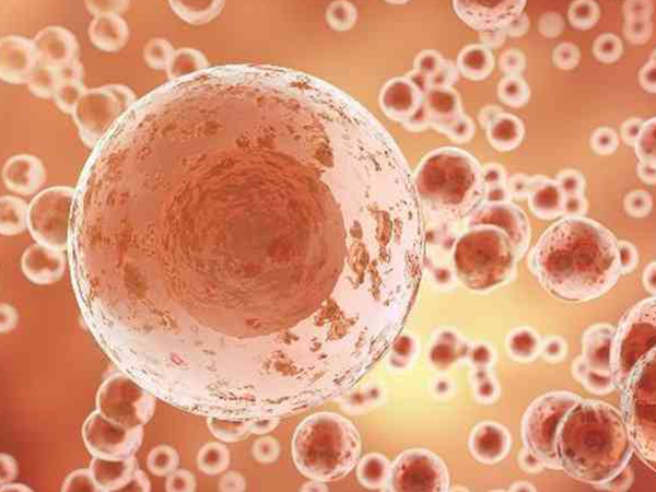 试管促排卵有助于窦卵泡成熟