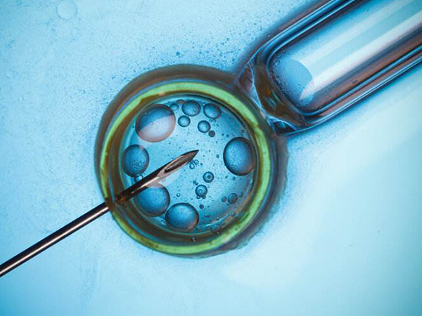 部分细胞染色体异常是嵌合体胚胎特征