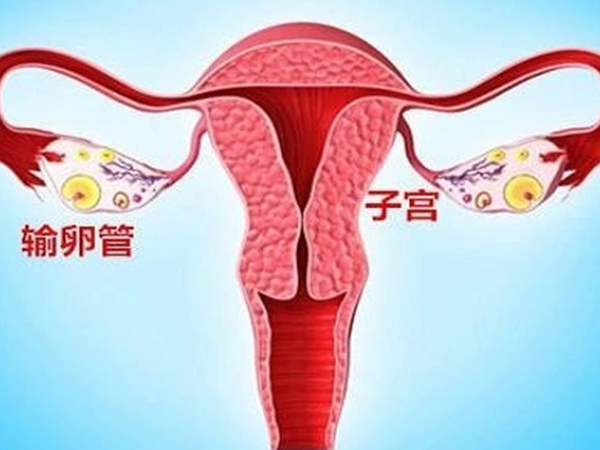 输卵管堵塞会影响女性生育