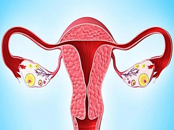 女性卵巢功能异常对卵泡有影响