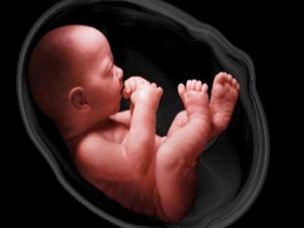 试管和自然受孕都会可能会出现胎停育