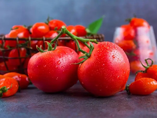 西红柿中的番茄红素很多
