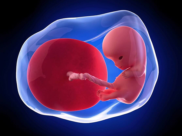 男性精子畸形率高怀孕对孩子危害较大