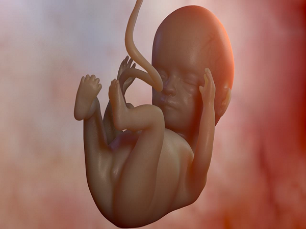 胎儿脐动脉比值会随着孕周的增加而降低