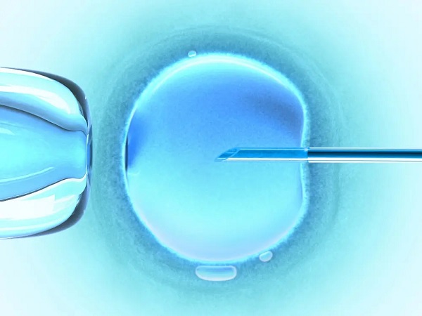 试管中胚胎的等级和质量是息息相关的