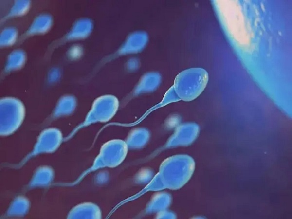 受孕最重要的就是卵子和精子
