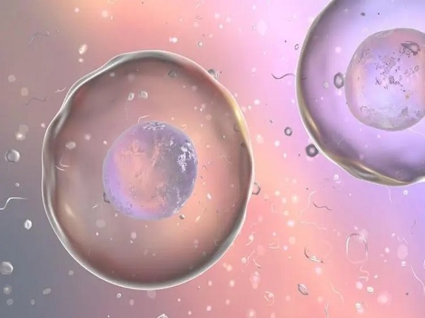 三级胚胎养囊成功的案例真不少