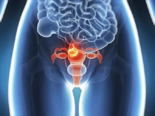长期人工周期对卵巢不会有损伤