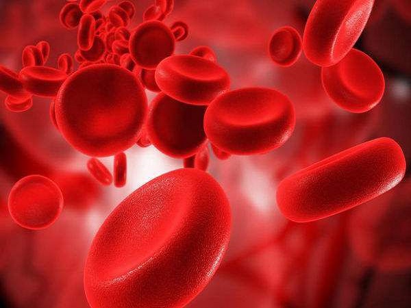 血小板是人体最重要的具有凝血作用的细胞