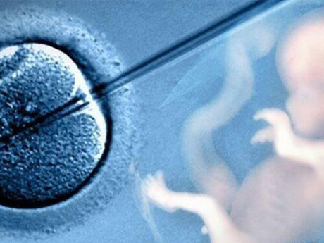 PGS可以筛选淘汰掉染色体异常的囊胚