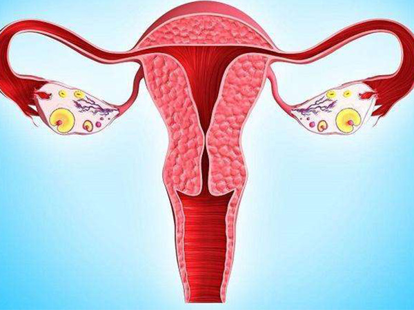 先天性无子宫患者卵巢功能正常就能取卵